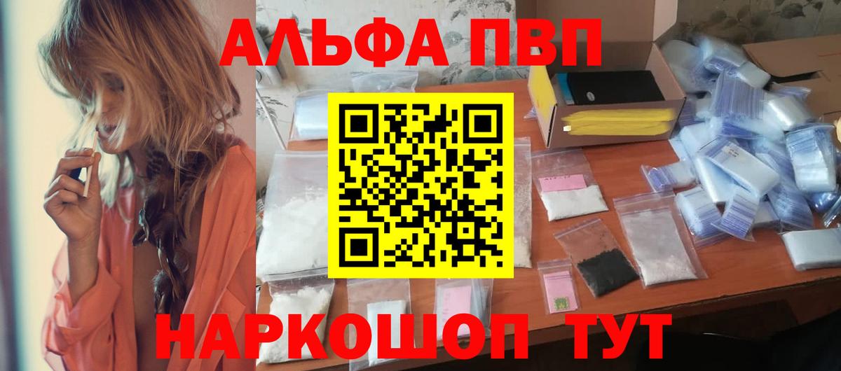 Alfa_PVP СК КРИС Нижний Новгород