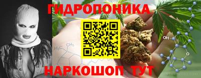 мдпв Донской